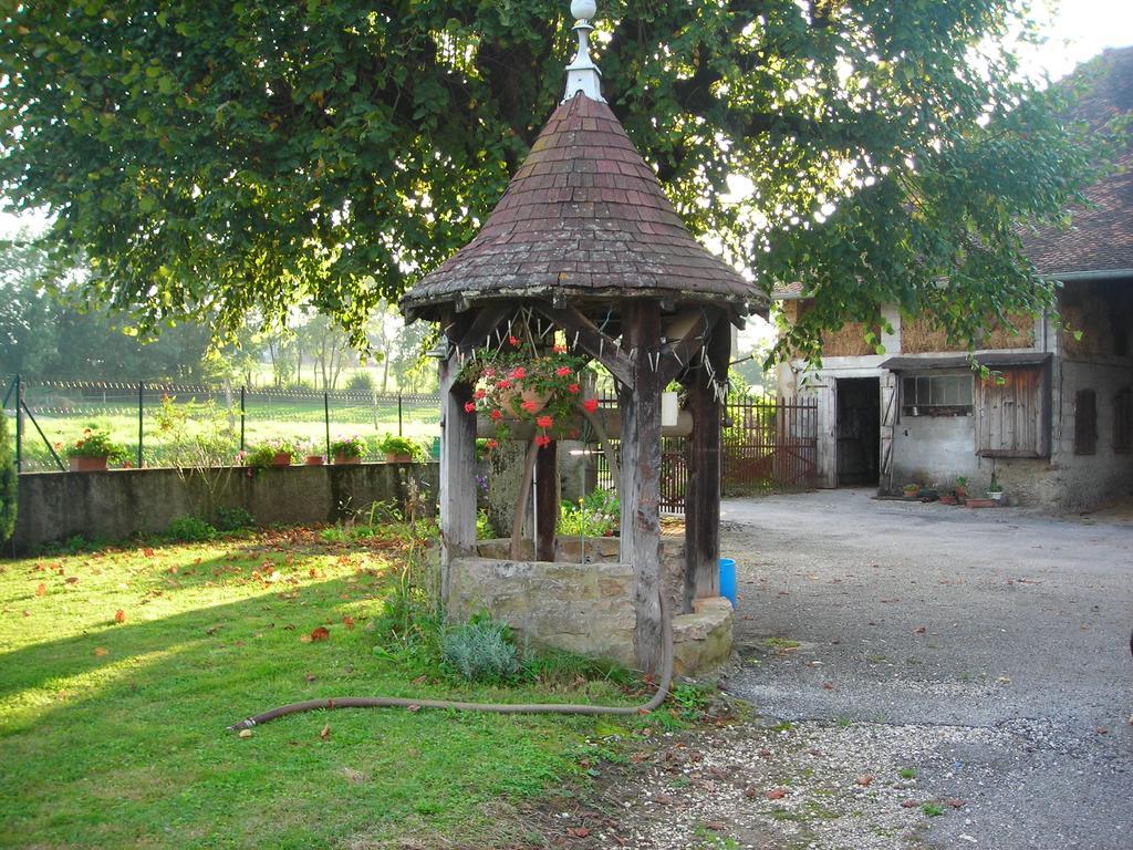 Vila La Bardeliere Corbelin Exteriér fotografie