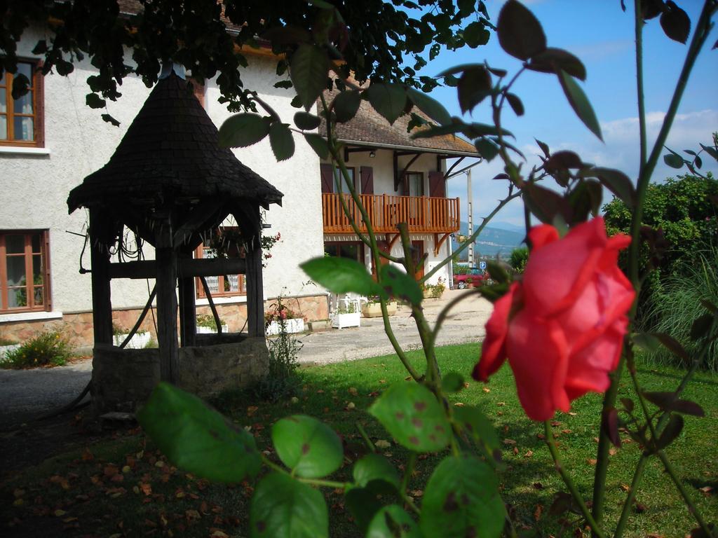 Vila La Bardeliere Corbelin Exteriér fotografie