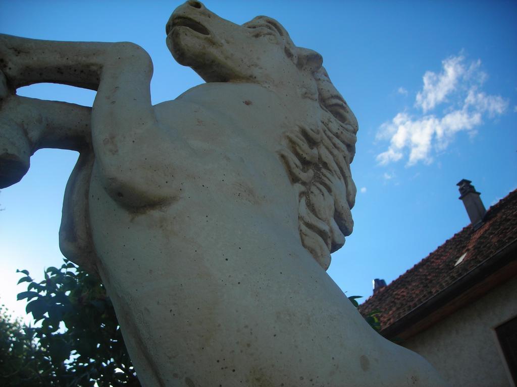 Vila La Bardeliere Corbelin Exteriér fotografie