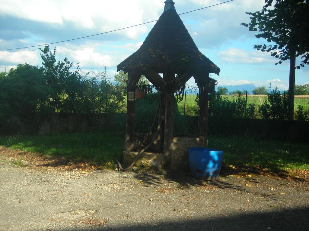 Vila La Bardeliere Corbelin Exteriér fotografie