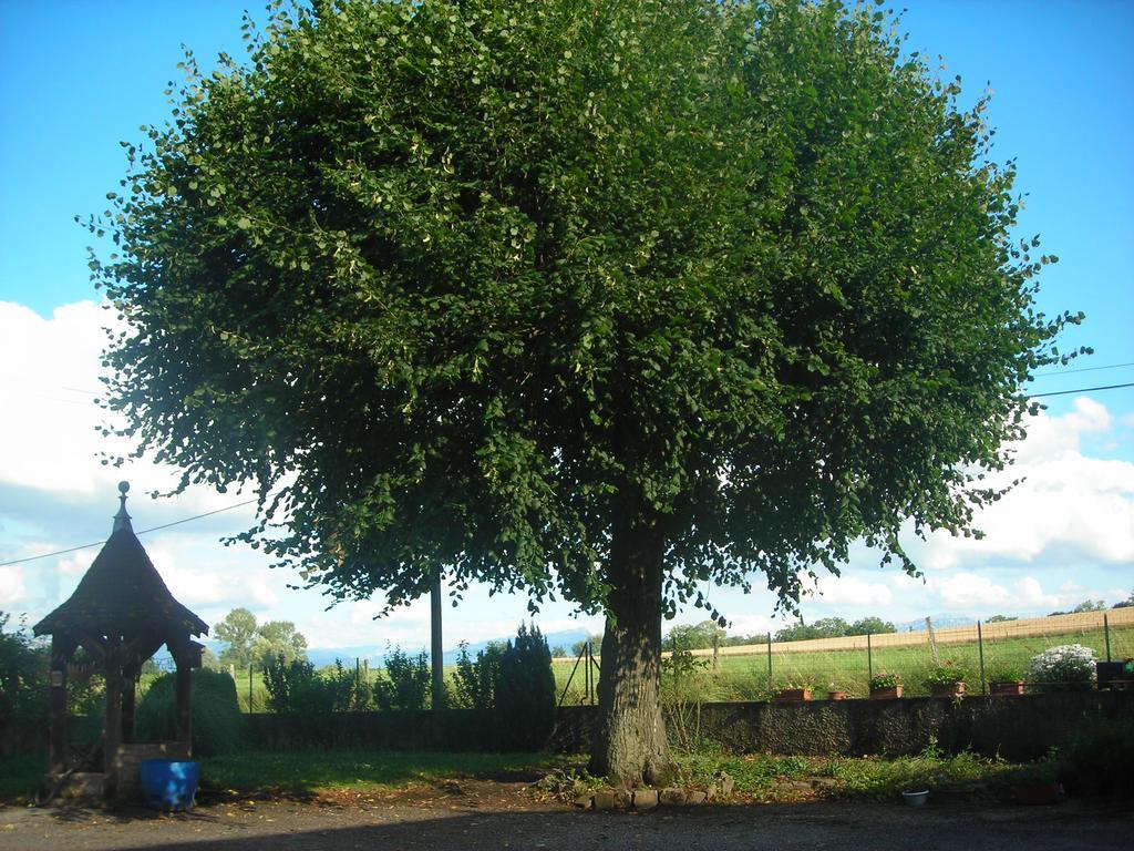 Vila La Bardeliere Corbelin Exteriér fotografie