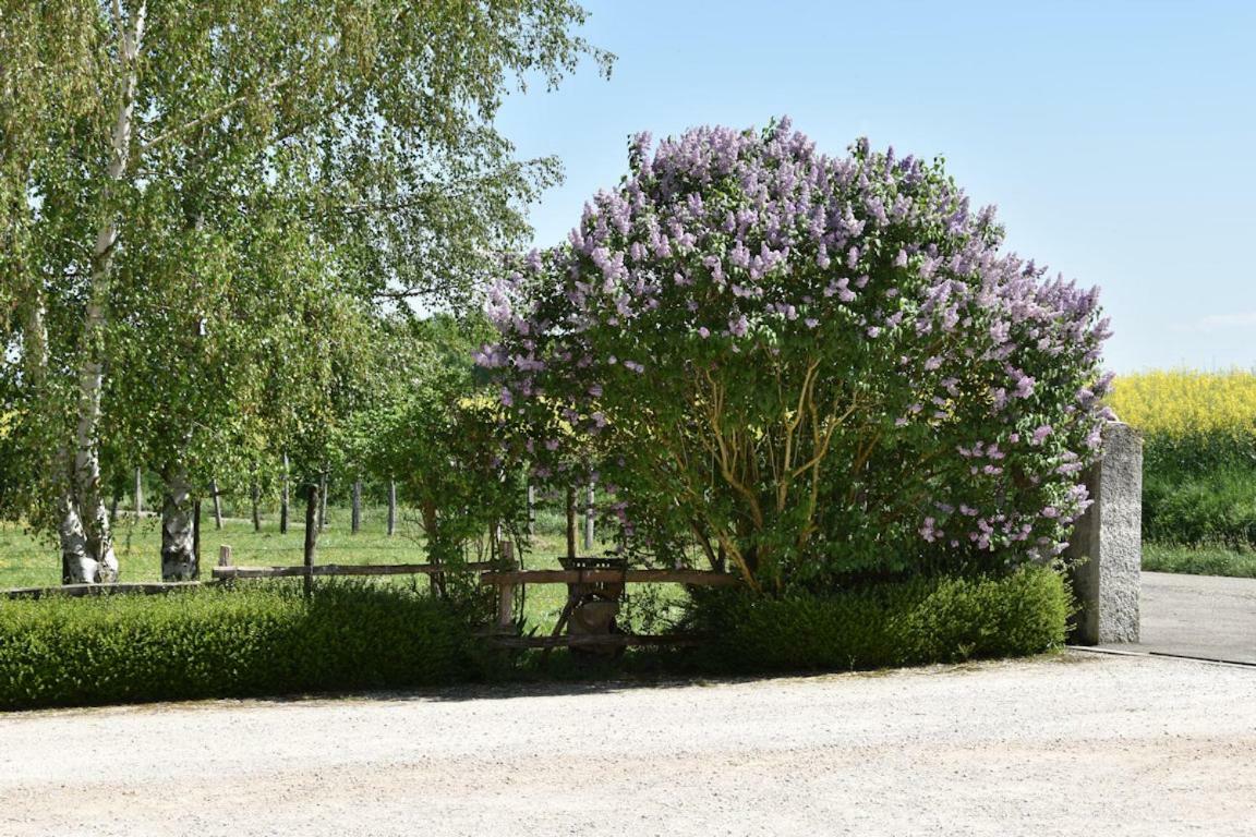 Vila La Bardeliere Corbelin Exteriér fotografie
